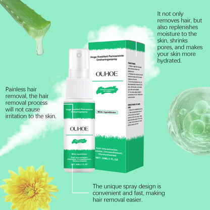HairGo Ontharing Spray